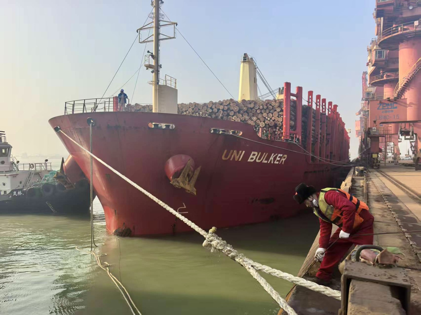 稳链拓新  聚势跃升 ——轻出公司2025年原木进口量翻倍 