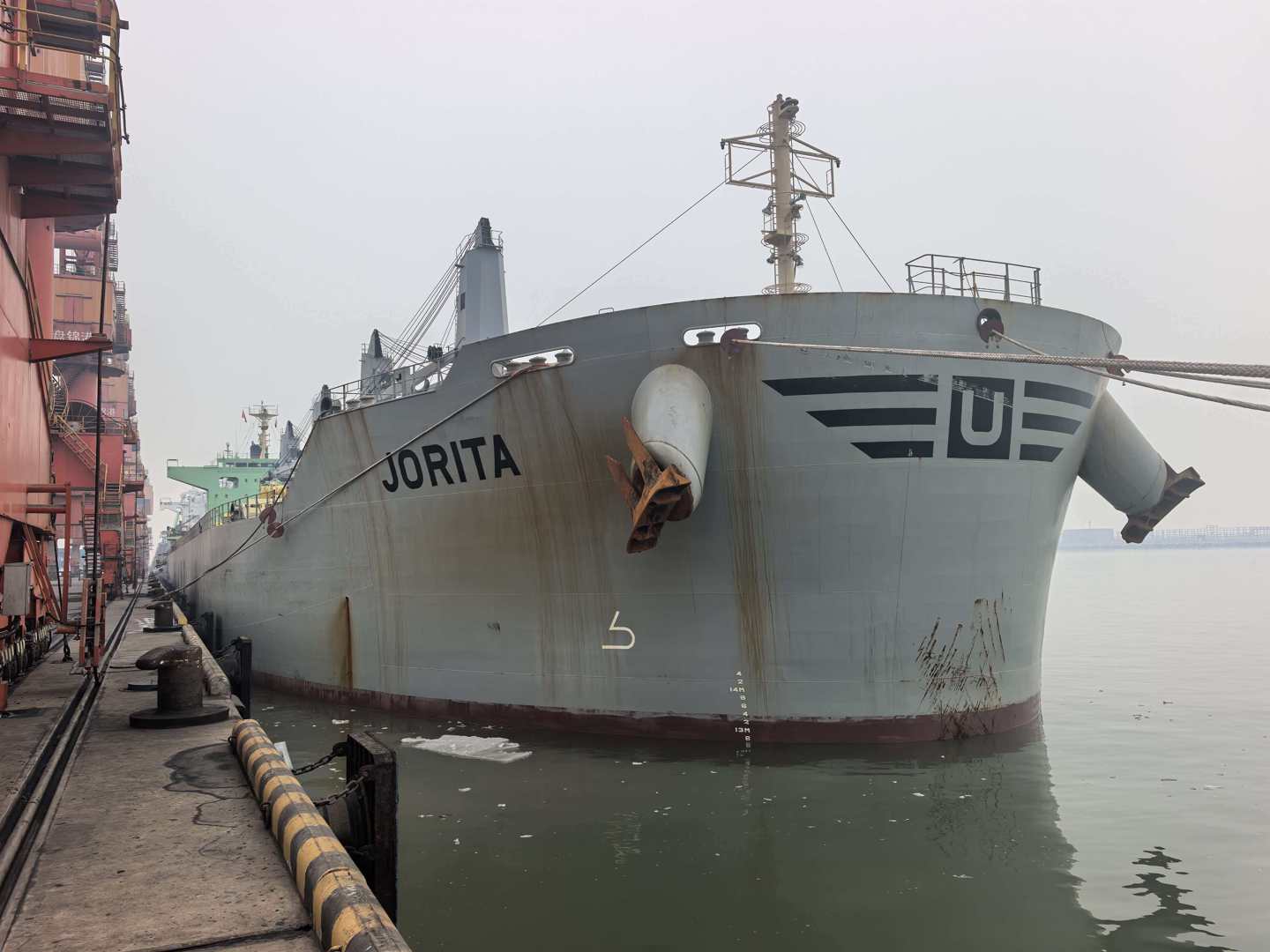 稳链强链见实效│进口业务增长62%，轻出公司实现一季度“开门红”